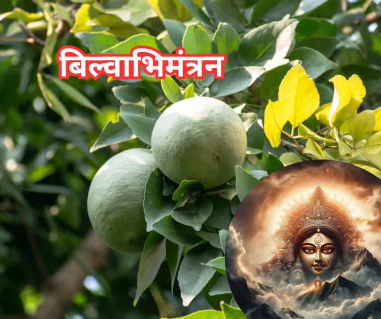 दुर्गा पूजा - बिल्वाभिमन्त्रण विधि